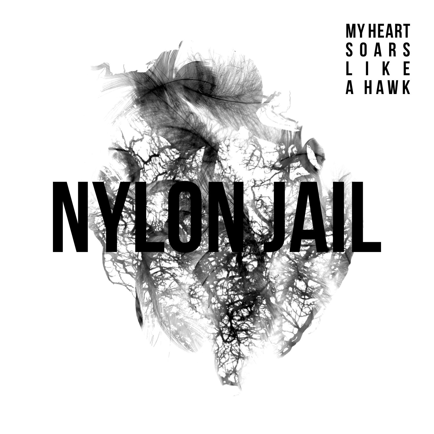 Poslední (ostravský) křest nedávno vydaného alba kapely Nylon Jail se blíží